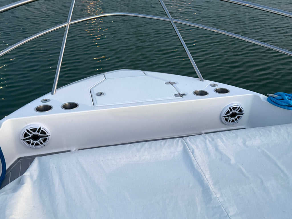 Custom Marine Audio System